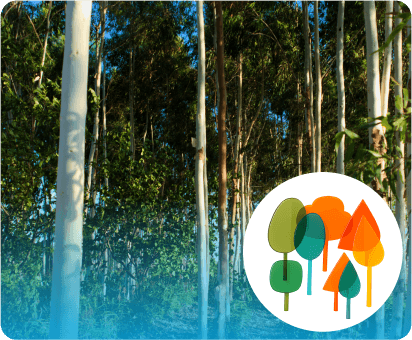 Blue rays icon symbolizing human achievement, recognition, success, and celebration in professional or personal growth